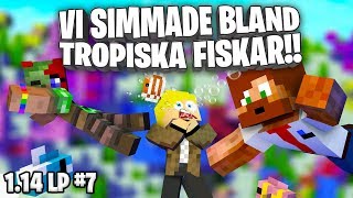 Vi simmade bland tropiska fiskar i Minecraft [upl. by Aicenaj]