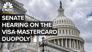 The Senate Judiciary Committee holds a hearing on breaking VisaMastercard duopoly — 111924 [upl. by Hazlip]