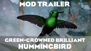 Planet Zoo GreenCrowned Brilliant Hummingbird Trailer [upl. by Hilel524]