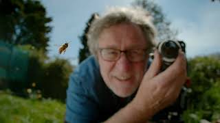 My Garden of a Thousand Bees  Trailer  David Allen [upl. by Manoop]