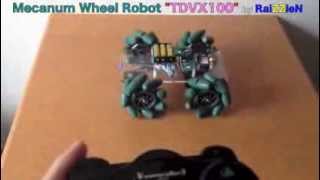 Mecanum Wheel Robot quotTDVX100quot [upl. by Leventhal555]