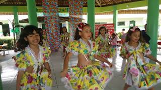 Dança do boto cor de rosa [upl. by Aitnic550]