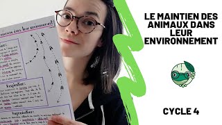 Le maintien des animaux dans leur environnement  5ème  Madame SVT [upl. by Peti]