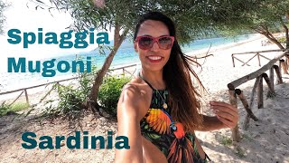 Spiaggia Mugoni Mugoni Beach in Alghero Sassari Sardinia  Summer 2020  4k Vlog [upl. by Canica]