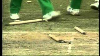 Jonty Rhodes Superman Runout World Cup 1992flv [upl. by Sinnylg]