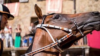 PALIO LA CORSA DELL ANIMA  Palio Di Siena [upl. by Rani]