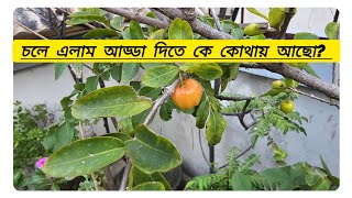 Tasmins vlog is লাইভ❤️❤️please join [upl. by Nhoj]