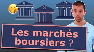 Les marchés boursiers  comment ça fonctionne  Explications pour les débutants [upl. by Purdy464]