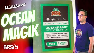 LIVE Phytoplankton to Keep Your Reef Tank Happy amp Healthy AlgaeBarn OceanMagik [upl. by Ennoryt]