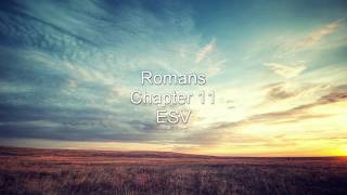 Romans  Chapter 11 ESV [upl. by Yorke178]