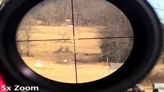 Bushnell AR 223 312x40 BDC 1100 Yards Review [upl. by Field505]