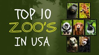 Top 10 Best Zoos to Visit in USA [upl. by Eekram]