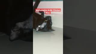 🌹Mathematics AB Chicken Rice🌹 [upl. by Aurelie184]