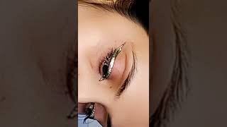 Wing eyeliner tutorial with steps [upl. by Araj889]