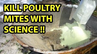 The BEST solution for poultry mites [upl. by Enyalahs]