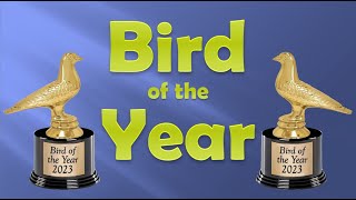 Bird of the Year Nominees [upl. by Nirret]