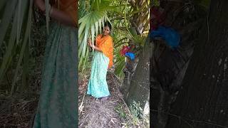 টুনি আমার যানেরিযান পরানের পরান 😍❤️shortvideo shortsvideo [upl. by Kciwdahc]