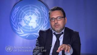 Vicent Chetail on the Principle of Nonrefoulement in International Law [upl. by Kcirted]