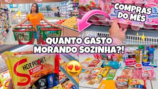 PRIMEIRA COMPRA DO MÊS MORANDO SOZINHA😍🛒  Quanto gastei no total 🤑  ORGANIZANDO TUDO [upl. by Allwein]