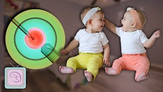 How To Have Twins Get the Truth from a Fertility Expert [upl. by Acceb]