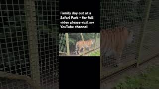 Family Day out at Port Lympne Safari Park dayinthelife travel foryou foryoupage animals [upl. by Attikin]