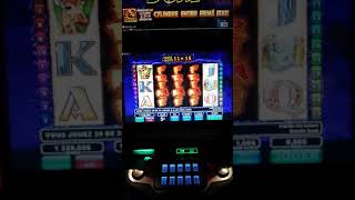 Faune frimé the wildlife slot loto quebec AMAZING WIN [upl. by Icam71]