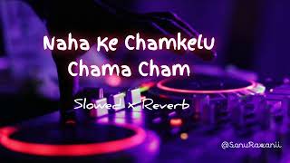 नाहा के चमकेलू चामा चम  Naha Ke Chamkelu Chama Cham Lofi  Slowed amp Reverb [upl. by Deedahs]