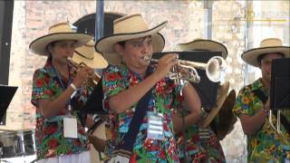 Banda Fiestera y Tradicional de la Palma Fiesta de Negritos [upl. by Eziechiele]