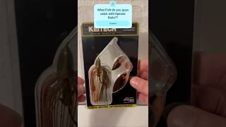 A look in our Tackle Box Part 8 Spinner Baits fishing keitech fishingtips tackle bass [upl. by Niemad]