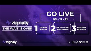 Use ZIG Coin and Get Discounts on Zignaly Profit Sharing Success Fees [upl. by Amairam]