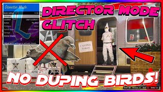 NEW GTA 5 ONLINE DIRECTOR MODE GLITCH WITHOUT DUPING BIRDS AFTER PATCH 158 [upl. by Laural]