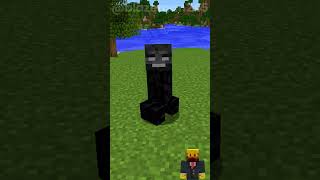 Minecraft wither Creepers EXPLOSIONS minecraft shorts [upl. by Gerrilee]