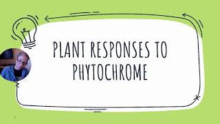 Chapter 26 Part 2 Flowering Plants Control of Growth Responses [upl. by Groscr]