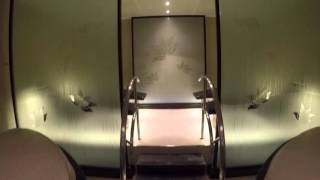 The Enclave Lotus Spa Royal Princess  Iglu Cruise [upl. by Montfort729]