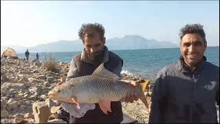 Tarbela Dam Ka Rahu fish 29102023  umer bhi [upl. by Beckett]