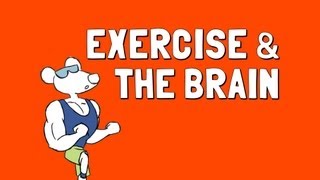 Exercise and the Brain [upl. by Callean]