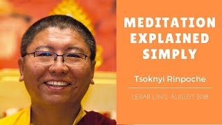 Tsoknyi Rinpoche  Meditation Explained Simply [upl. by Nallad]