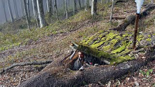 Building a SECRET SHELTER inside Big TREE  Bushcraft SURVIVAL Camping in the Rain with My Dog [upl. by Nylloh]