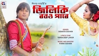 Jiliki Robou Pare  Diganta Gohain  New Bihu Song 2024  New Bihu Video 2024 [upl. by Deth]