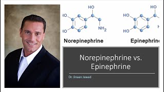 What Is The Difference Between Norepinephrine and Epinephrine [upl. by Eillo347]