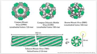 Virology 101 Plant Viruses Lecture 7 of 7 [upl. by Arymahs]