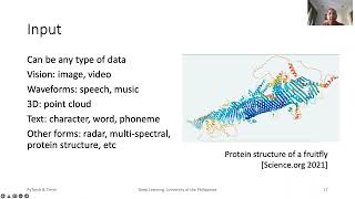 Introducing PyTorch and Timm for Deep Learning [upl. by Robers]