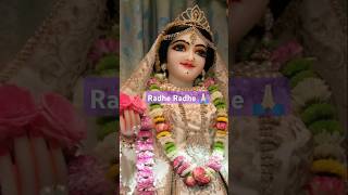 barsane radhe radhe 🙏🏻👍🏻 jai Shri Krishna 🙏🏻👍🏻 yt shorts viral devotional bhajanas [upl. by Ciryl]