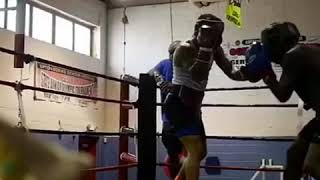 Gervonta Davis The Mike Tyson Of 130 Div [upl. by Everara]