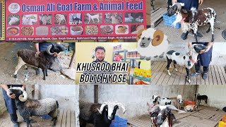 Osman Ali Goat Farm Feed Shop  Rampuri Sheeps available in Hyderabad [upl. by Oberg]