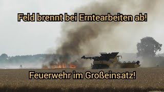 🔥 Feld brennt bei Erntearbeiten nähe Selbitz  Großeinsatz Feuerwehren LK Wittenberg am 26062024 [upl. by Lauzon]