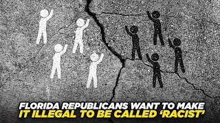 Florida Republicans Trying To Make It Illegal To Call Someone A Racist [upl. by Anileba]