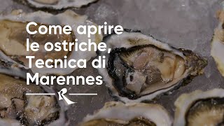 Come aprire le ostriche tecnica di Marennes  How to open oysters the Marennes Technique [upl. by Radke89]