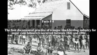 Blackbirding Top  6 Facts [upl. by Alor]