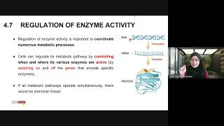 BIO091 Week 8  Chapter 4 Enzymes Part 2 [upl. by Letti]